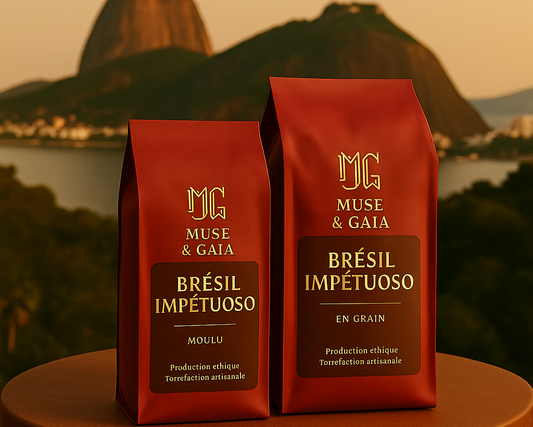 Bresil Impetuoso
