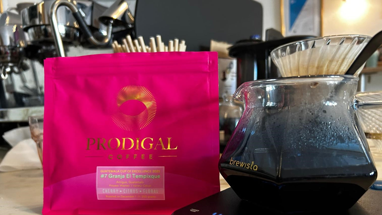 Cup of Excellence Guatemala #7 Granja El Tempixque