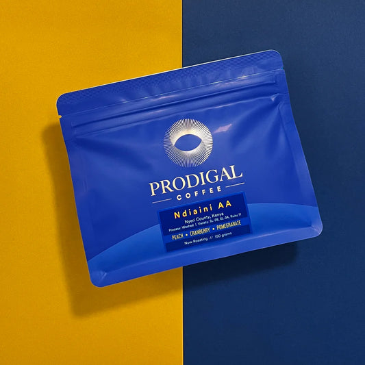 Prodigal Ndiaini AA - Kenya, lavé