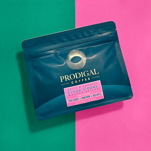 Prodigal Finca Copey Geisha - Costa Rica, lavée
