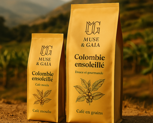 Colombie Ensoleille