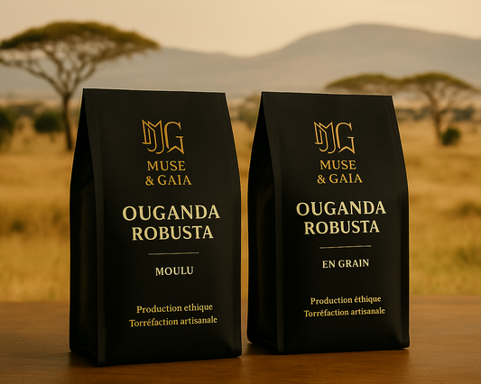 Ouganda Robusta